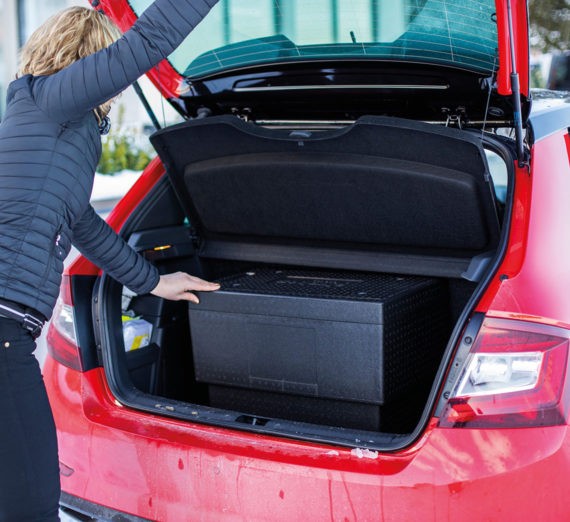 transport-food-home delivery-thermal box