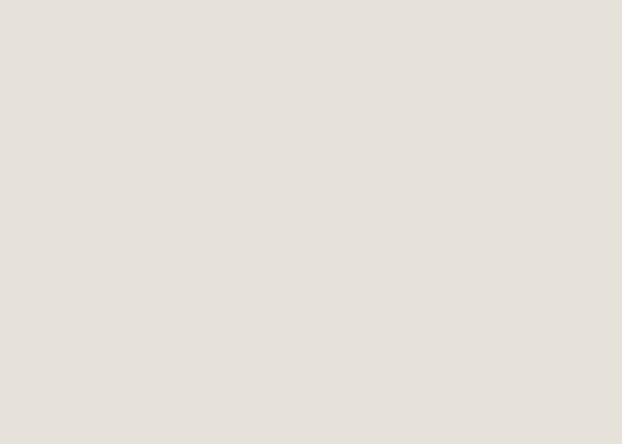 bg-beige