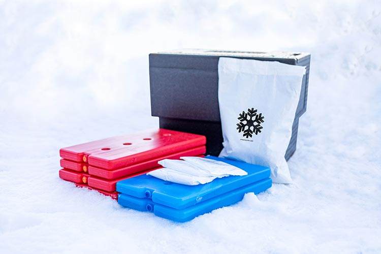 ifoodbag-cooling units-shield-gel pack-chilled-frozen food-alvobox-thermo box-thermal bag-termo pouch